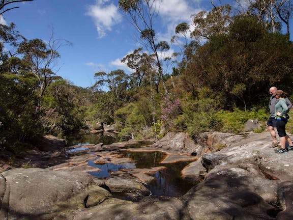 Barren Grounds Nature Reserve