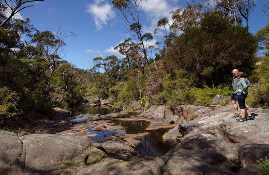 Barren Grounds Nature Reserve