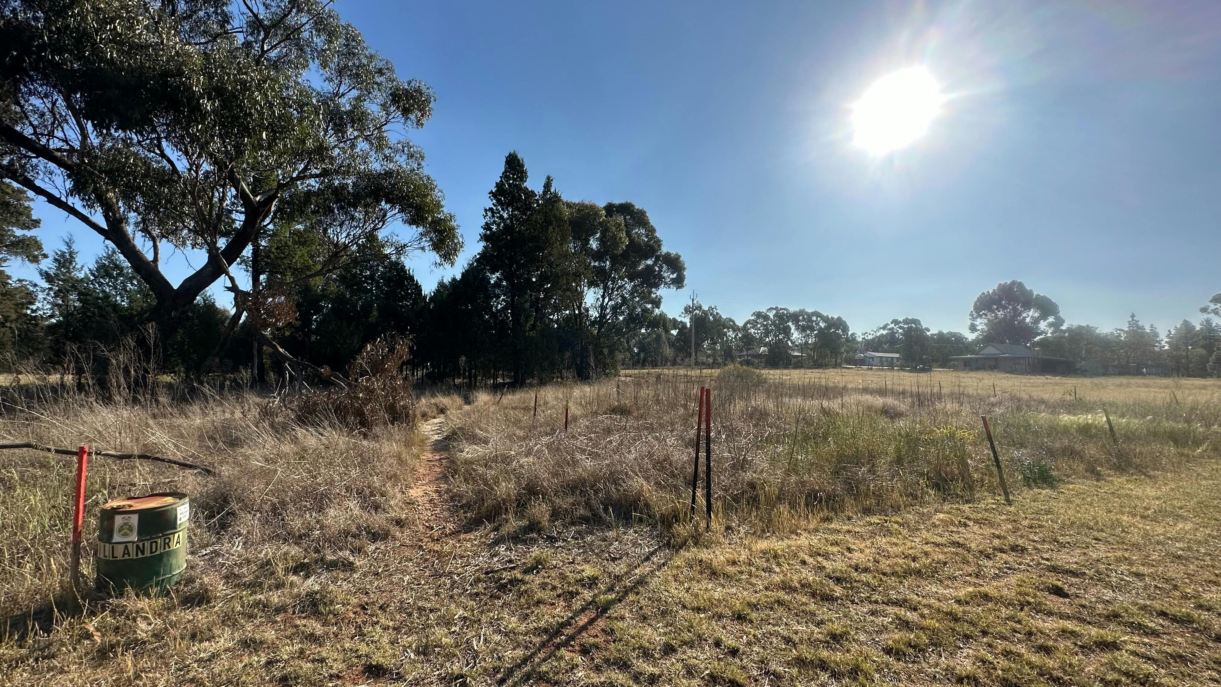 A gravel track running through Urabba Street Reserve, native grassland and flagpole