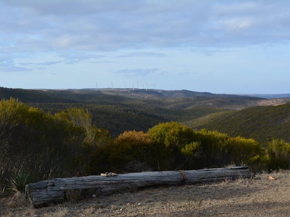 Cleve Hills Scenic Drive & Lookout