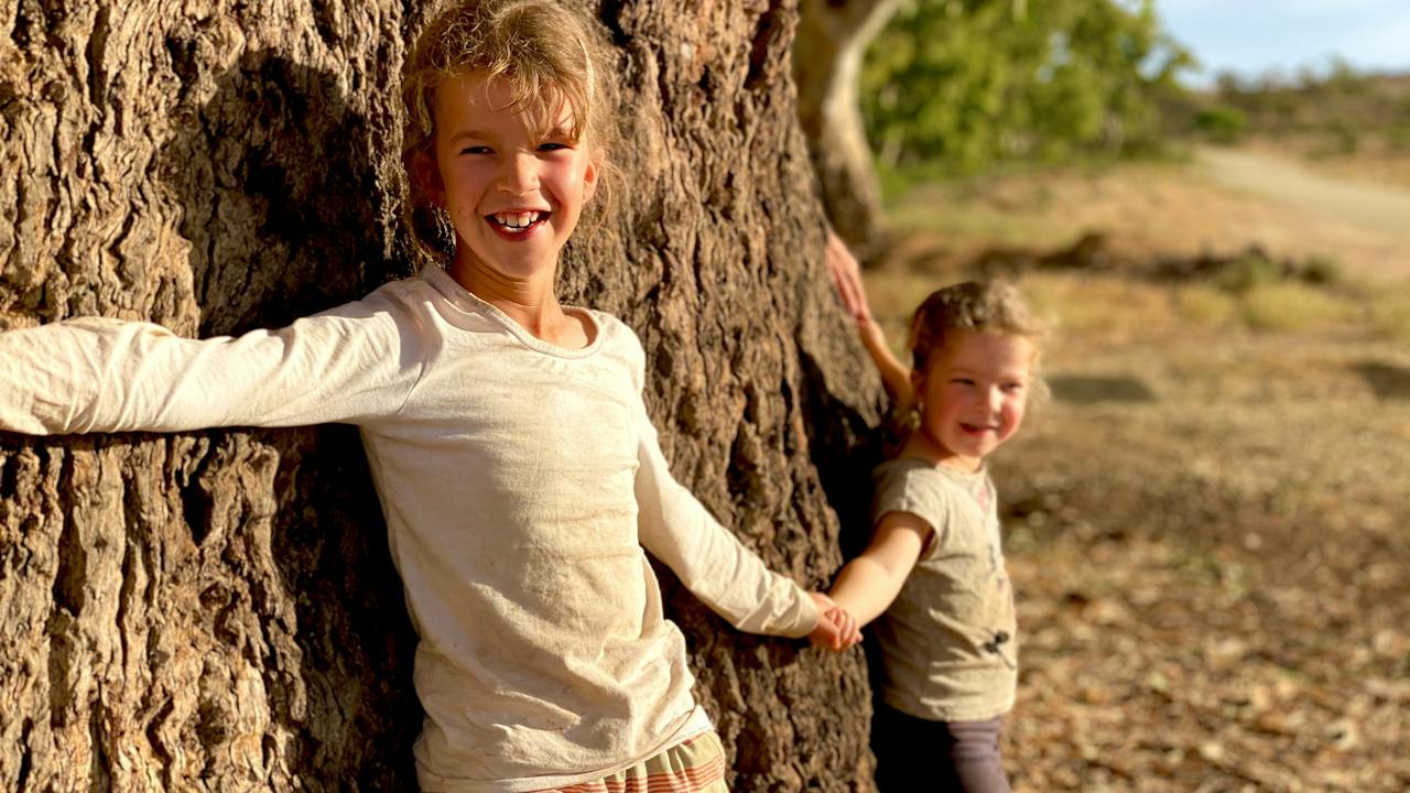 The Giant Gum Tree