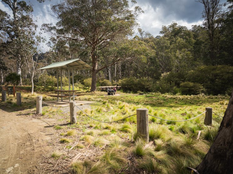 Barrington Tops State Forest, Manning River picnic area