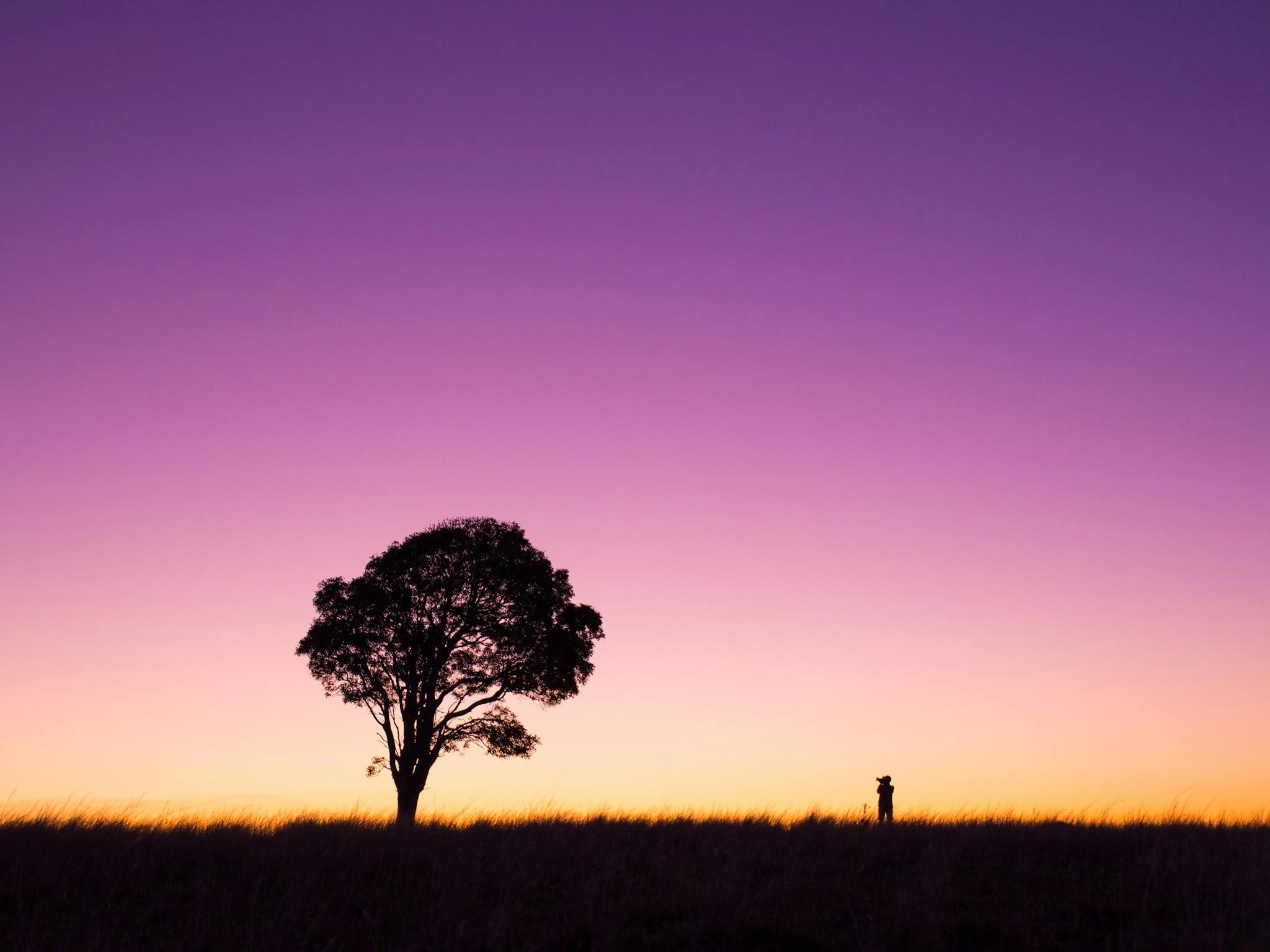 Torbanlea in the Fraser Coast Hinterland, Queensland.