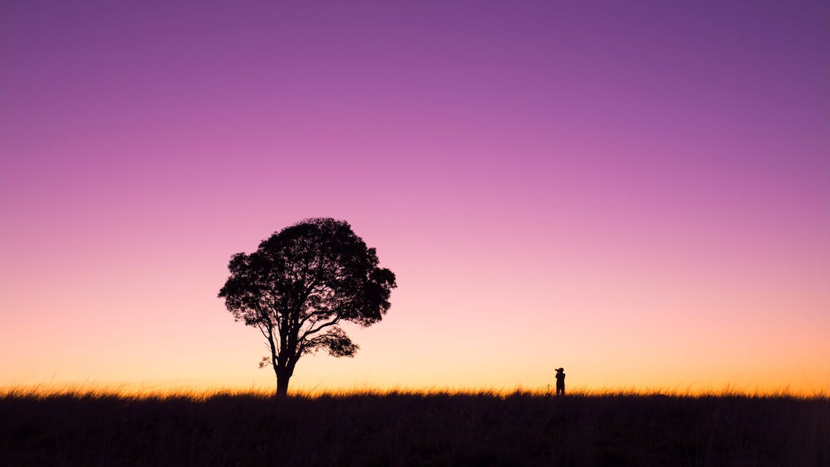 Torbanlea in the Fraser Coast Hinterland, Queensland.