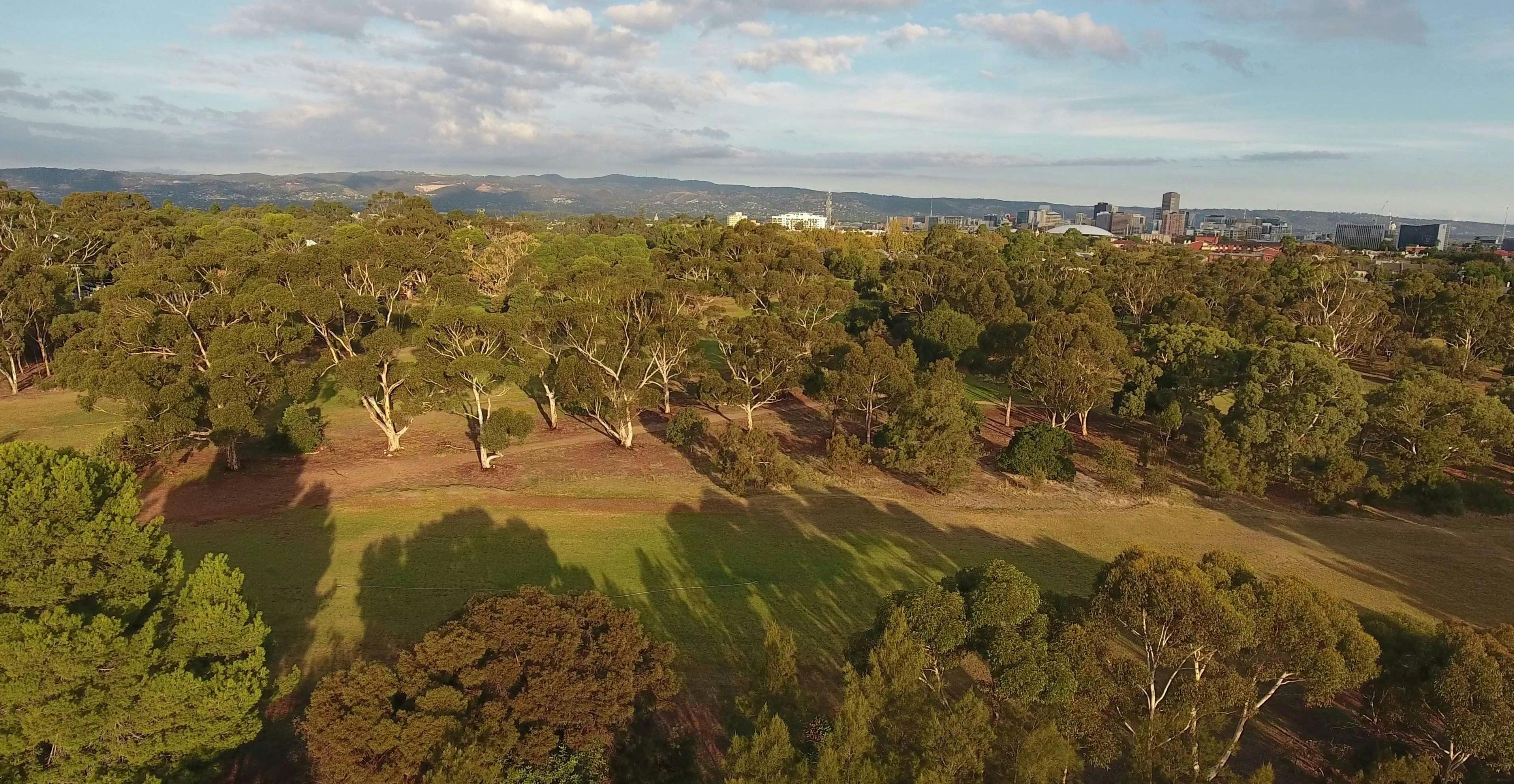 Possum Park /Pirltawardli (Park 1)