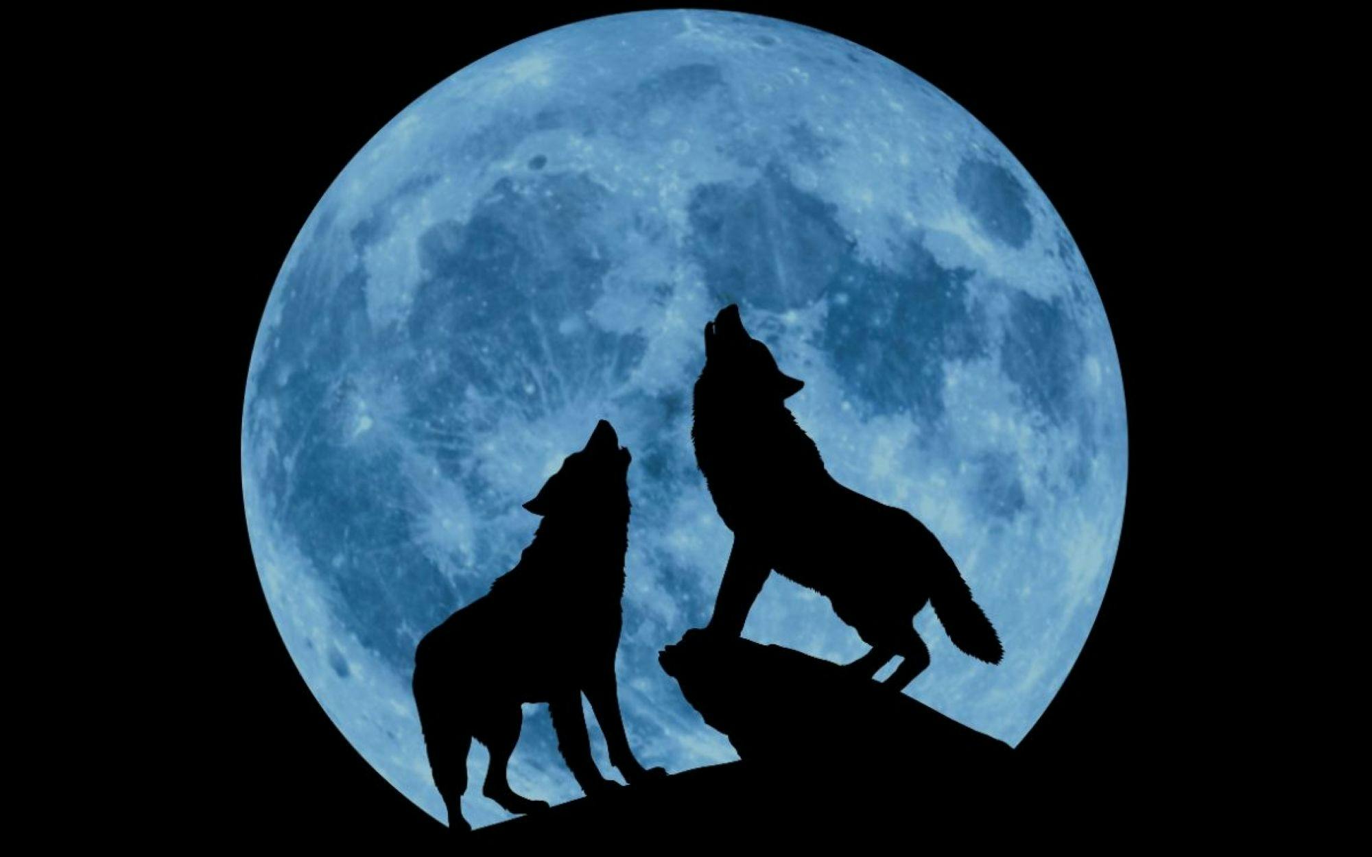 Creedence Clearwater Collection