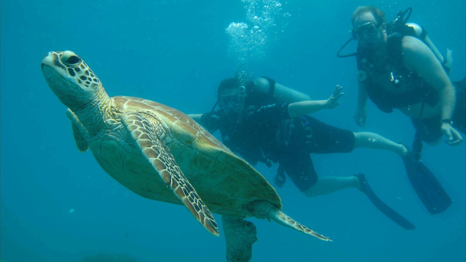 Ocean Freedom  - Personal Snorkel and Dive