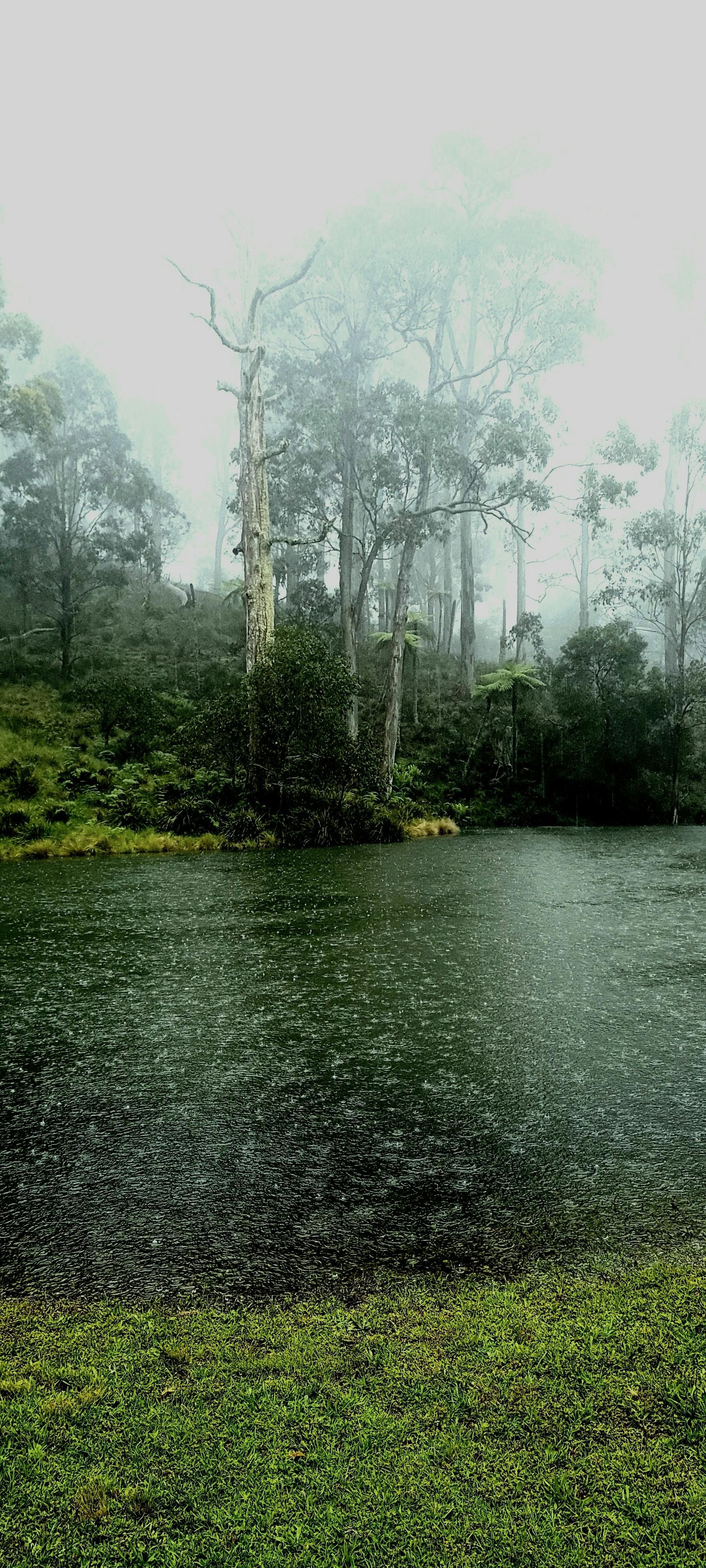 Public fishing area at Arc-en-Ciel Trout Farm