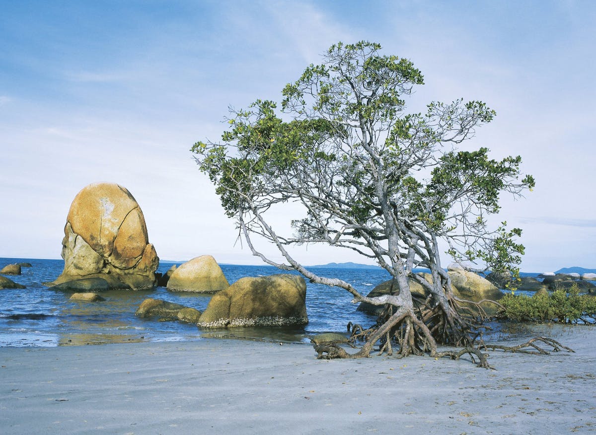 Lockhart River