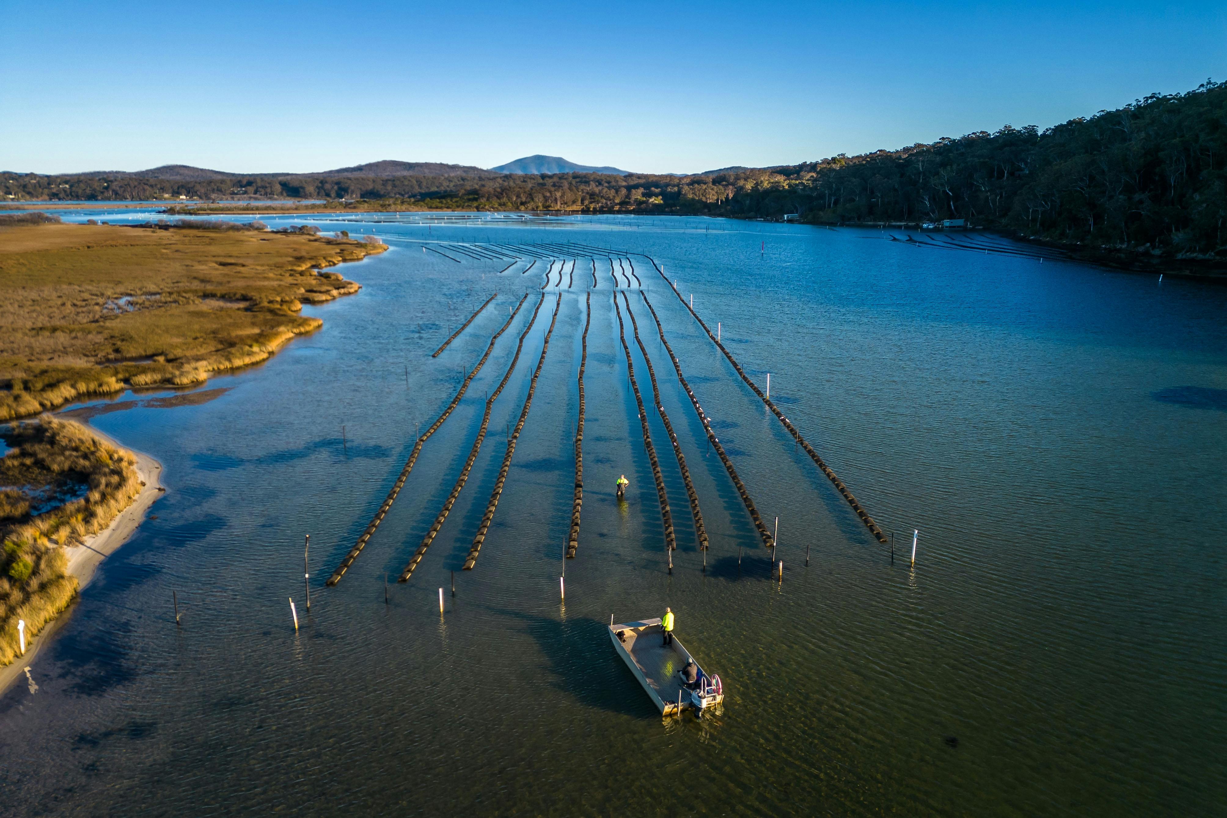 Wonboyn Rock Oysters, Sapphire Coast Oyster Trail, oyster farm