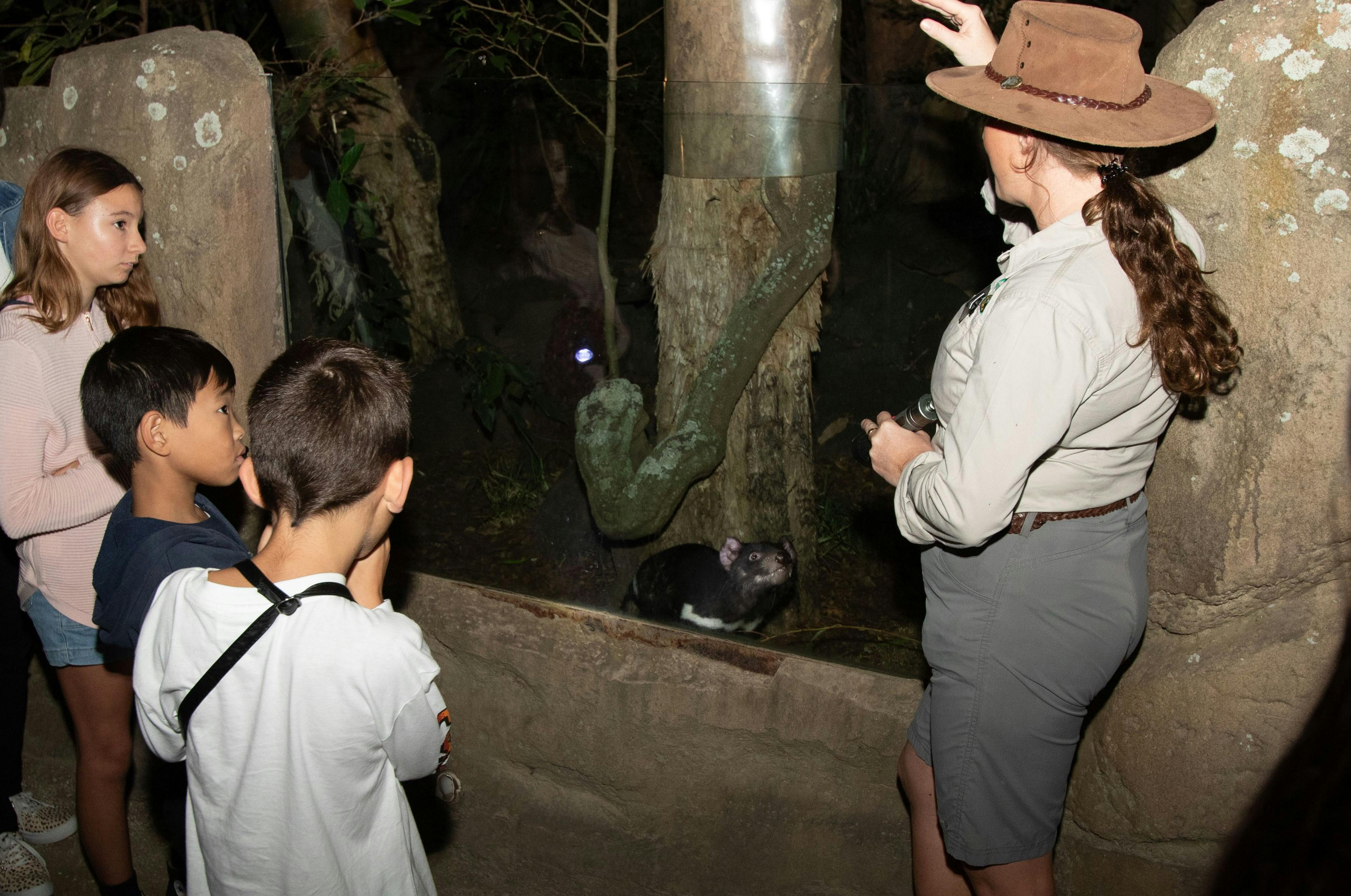 Keeper shows Tasmanian Devils at nighttime on Twilight Tour