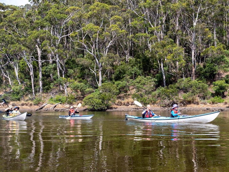 Small Group Kayaking the Bermagui River