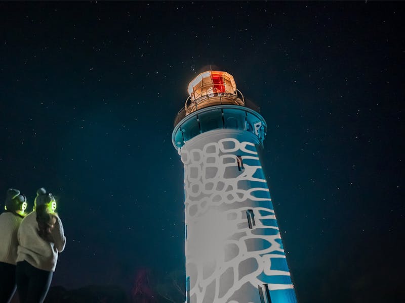 Image for Moonlight stories