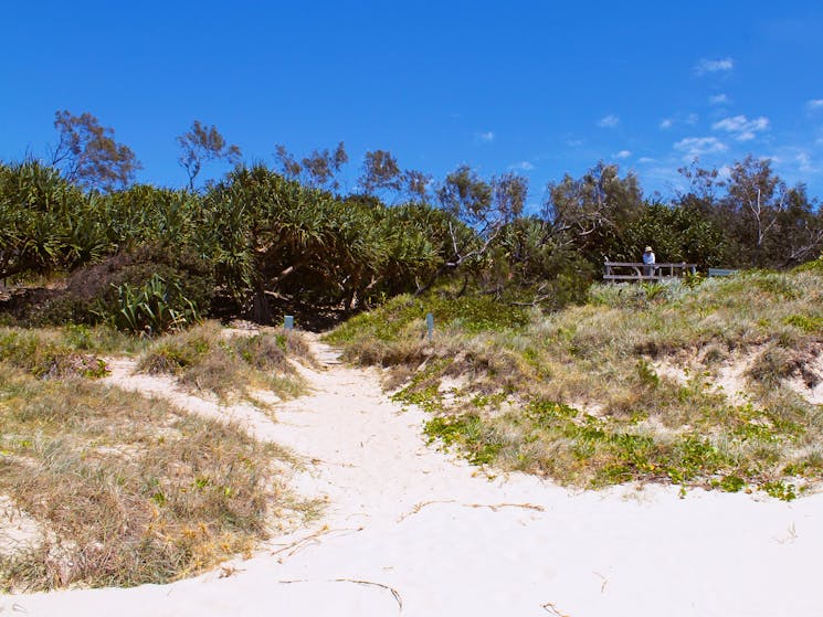 Looking back to the access track and viewing platform. Frazers Reef, Iluka.