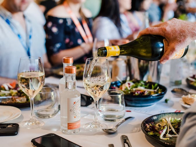 Santos Festival of Cycling Detours: McLaren Vale