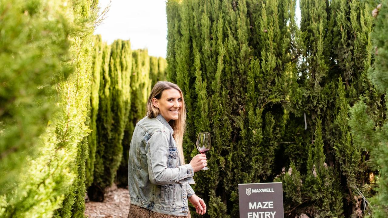 Maxwell Maze