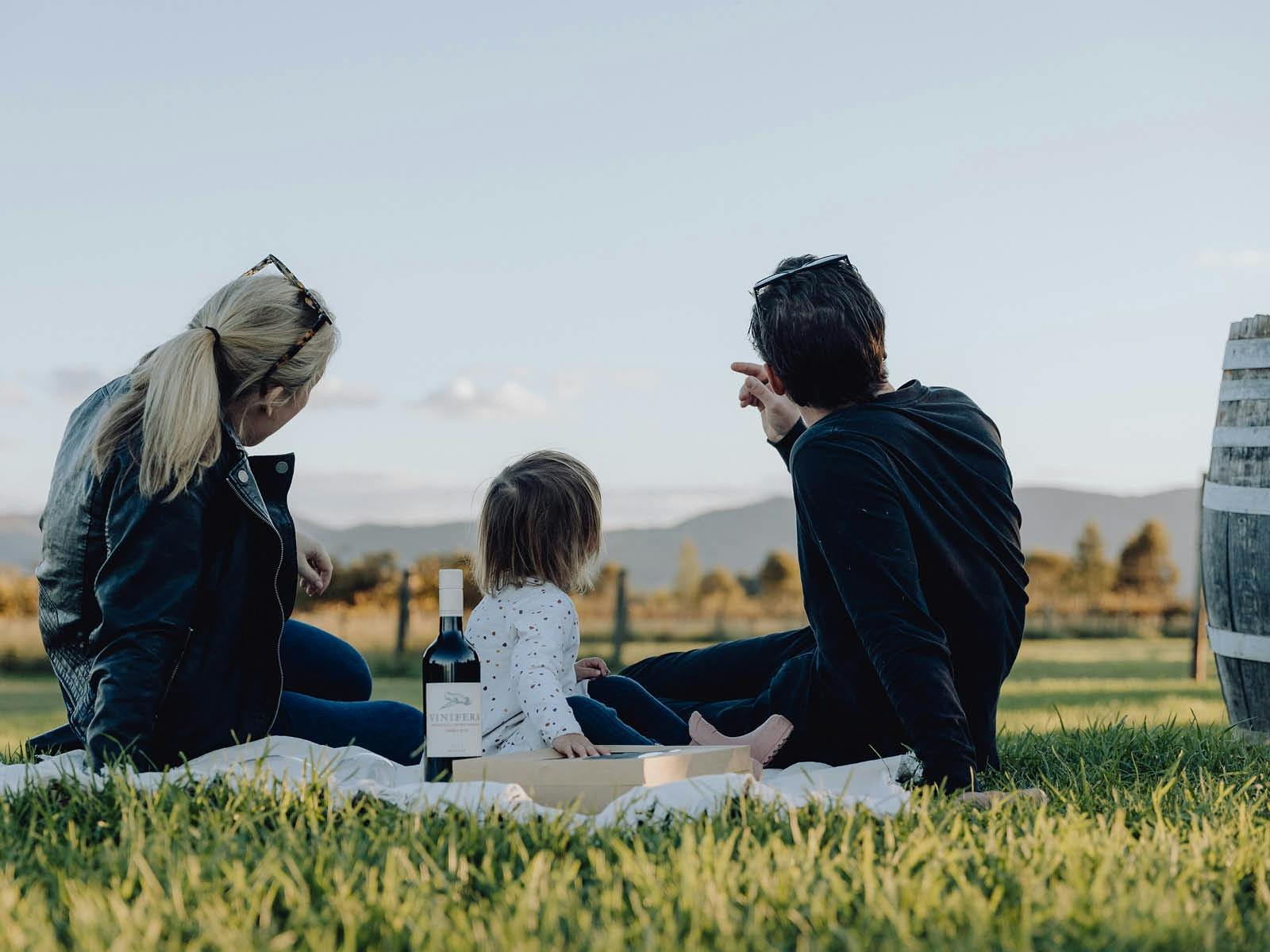 Picnic and Planes
