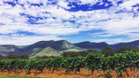 Our beautiful  area