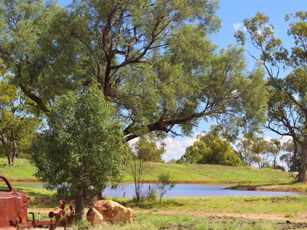 Events at Gidgee Bush Camp & Farm Stay