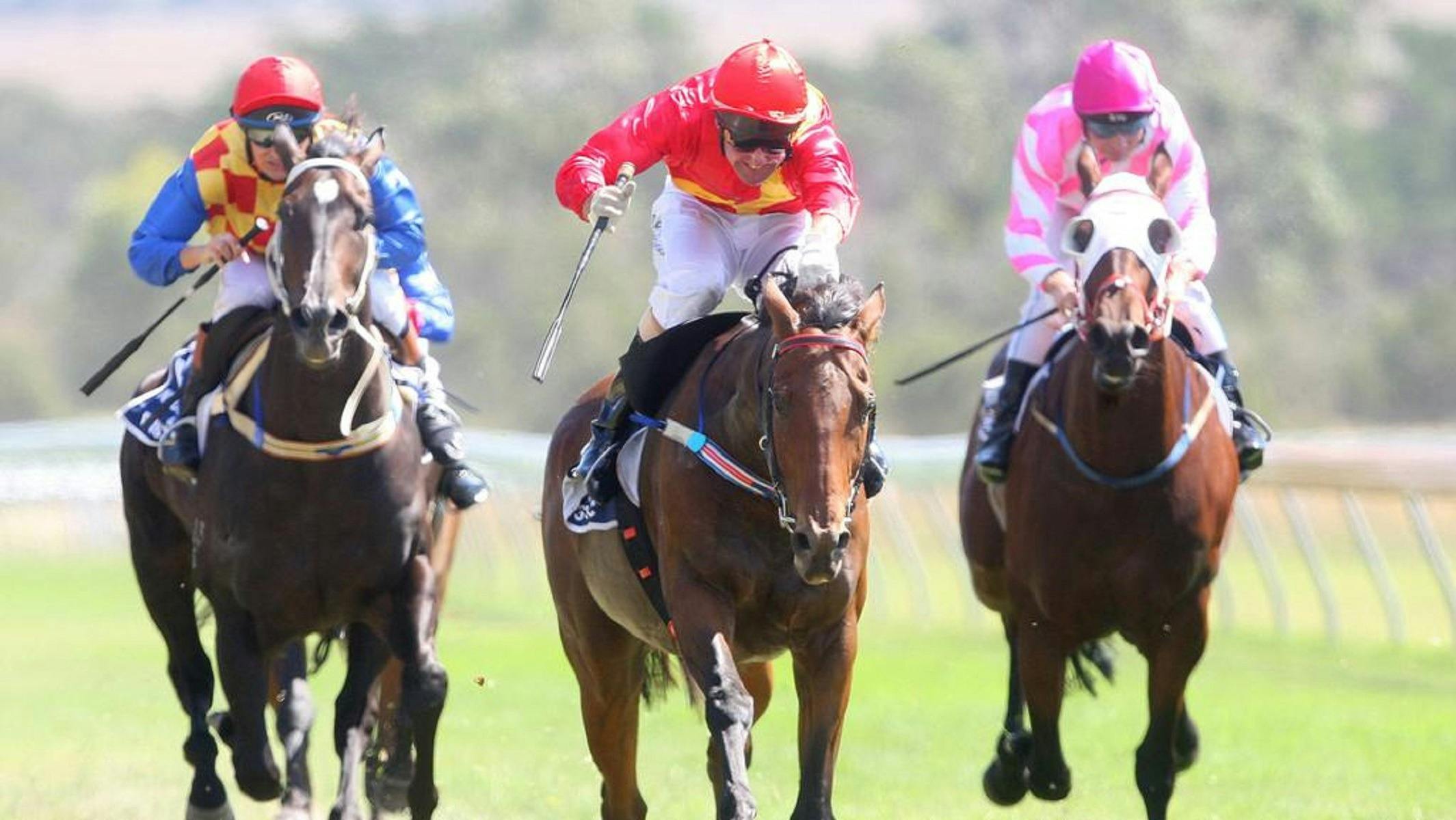 Woolamai Races