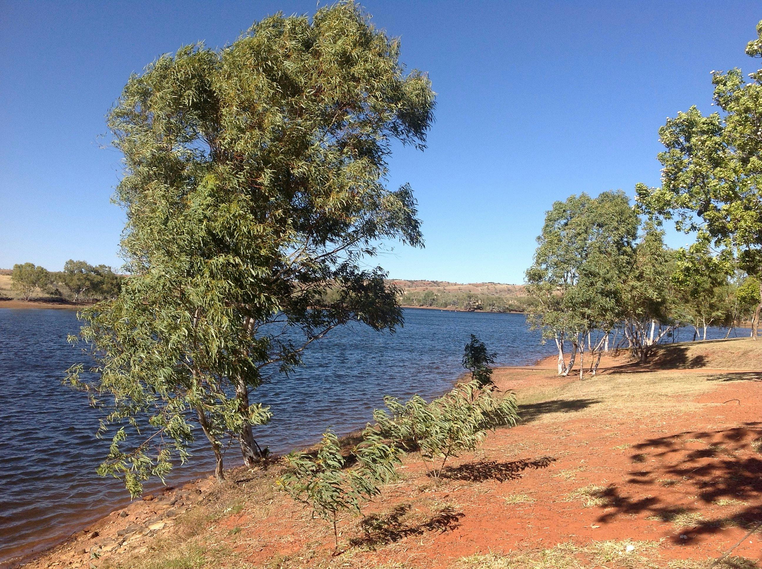 Tingkkarli/Lake Mary Ann