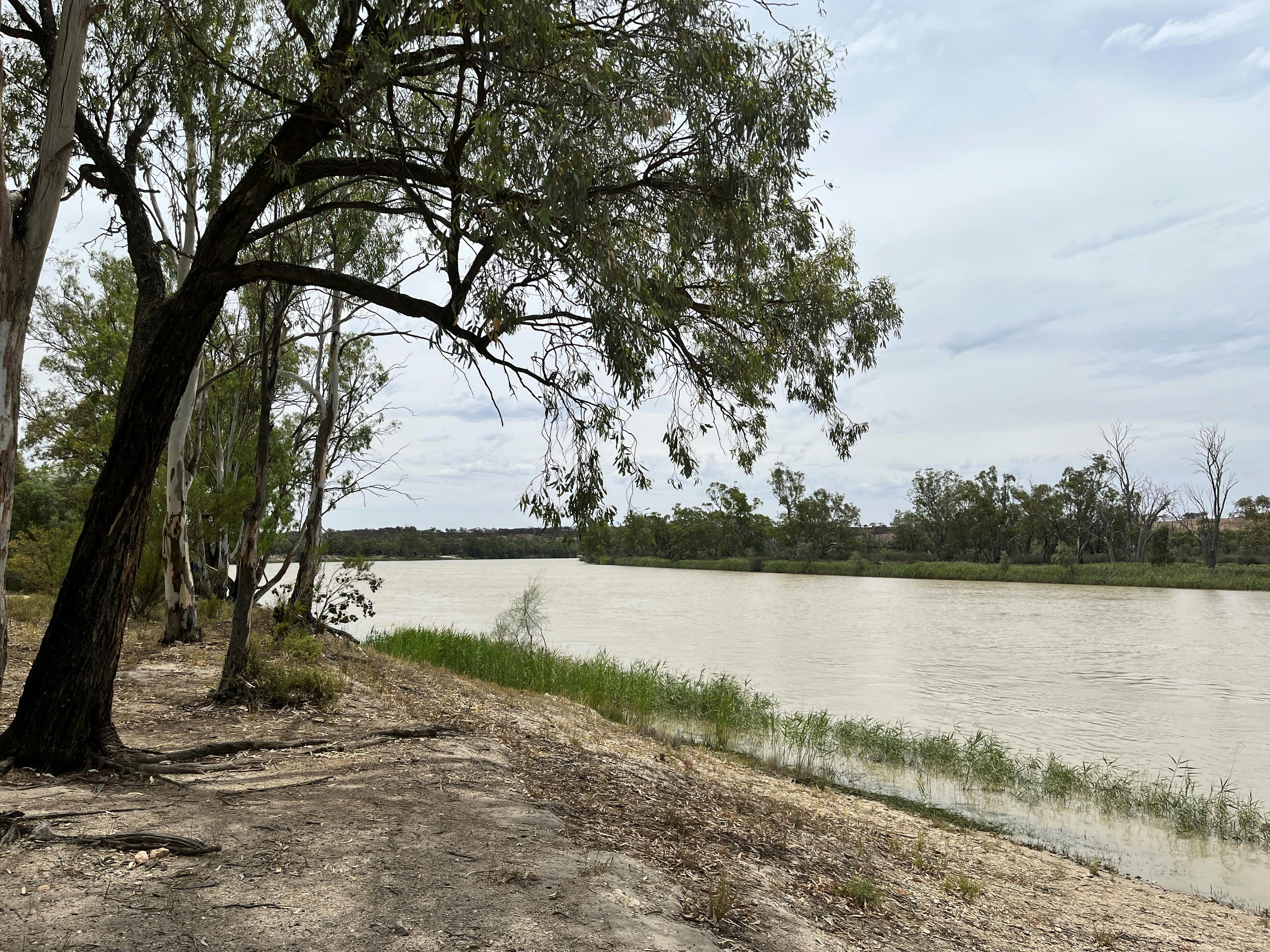 Gun Club Road Camping Area