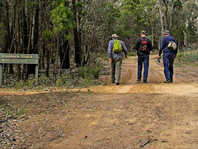Ironbark Walking Track