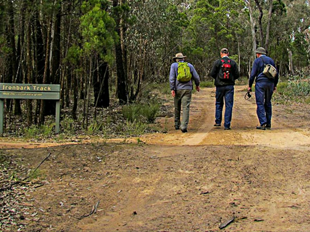 Ironbark Walking Track