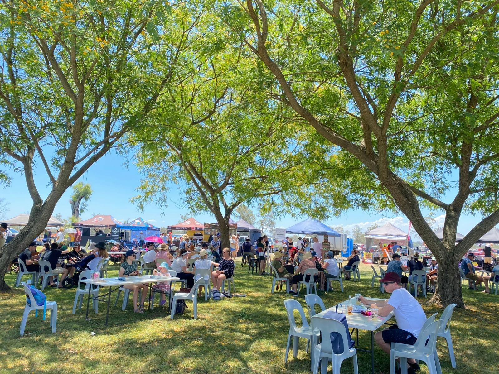 Autumn  Markets - Summer Land Camels