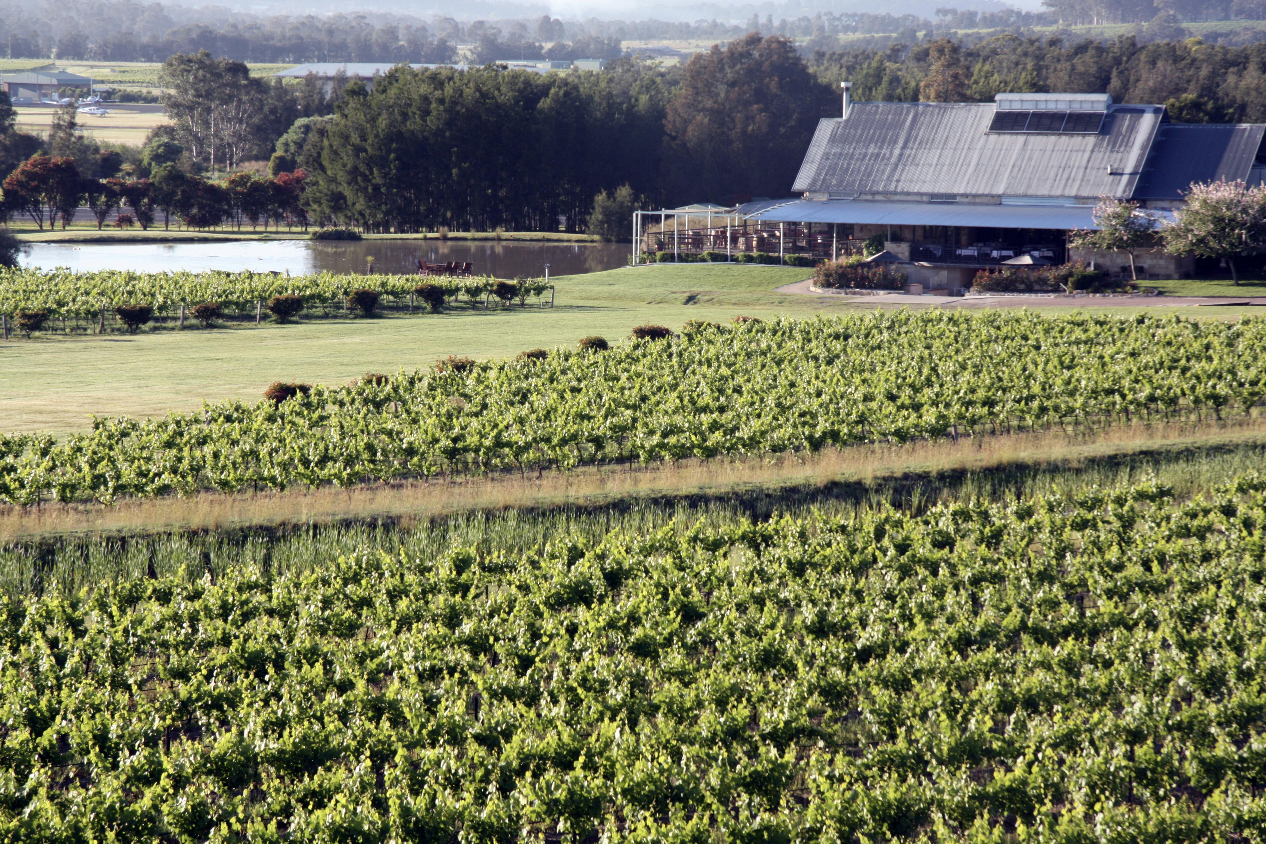 Hunter Valley Private Wine TastingTour