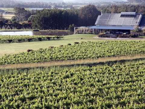 Hunter Valley Private Wine TastingTour
