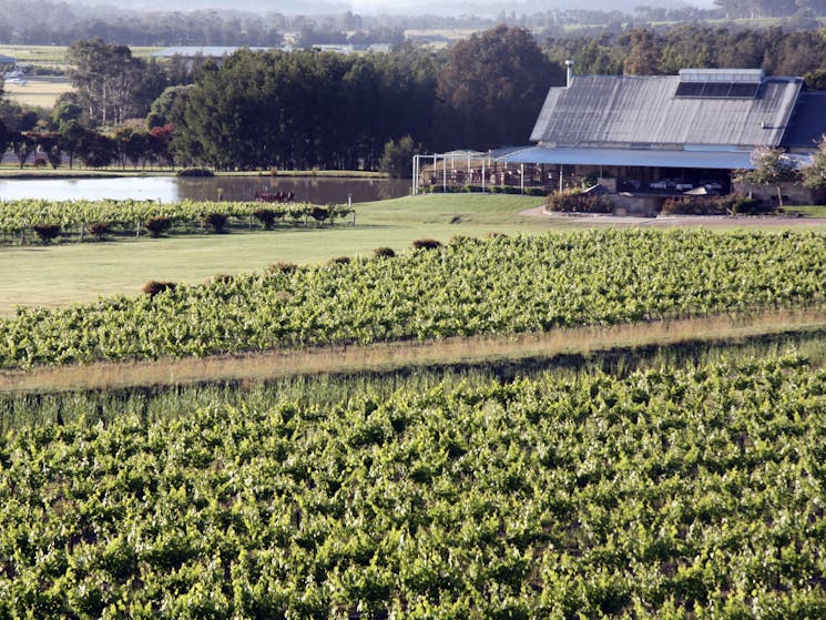 Stunning vineyards of the Hunter Valley