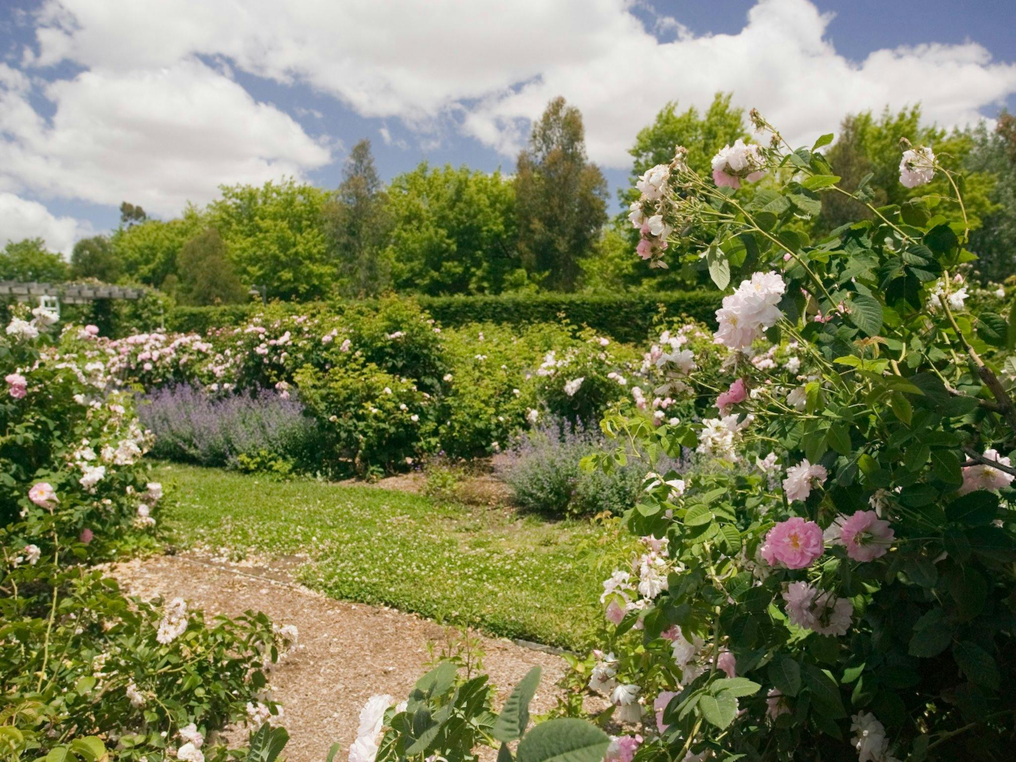 Rex Hazlewood Garden