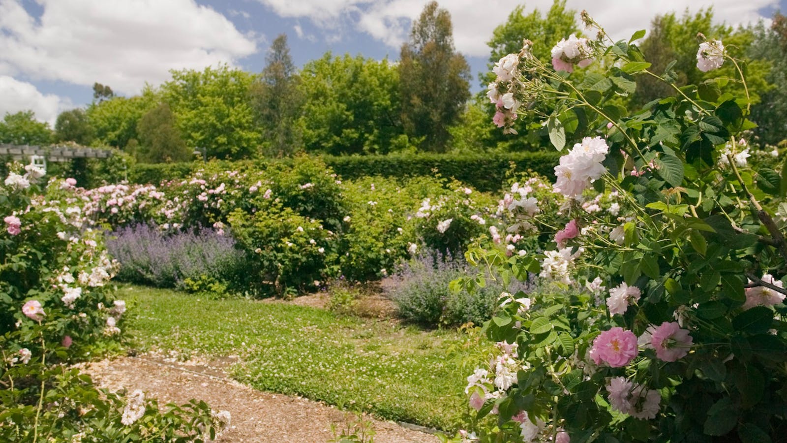 Old Parliament House Gardens