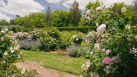 Old Parliament House Gardens