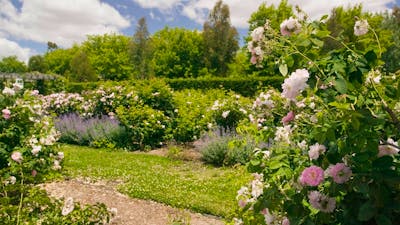 Rex Hazlewood Garden