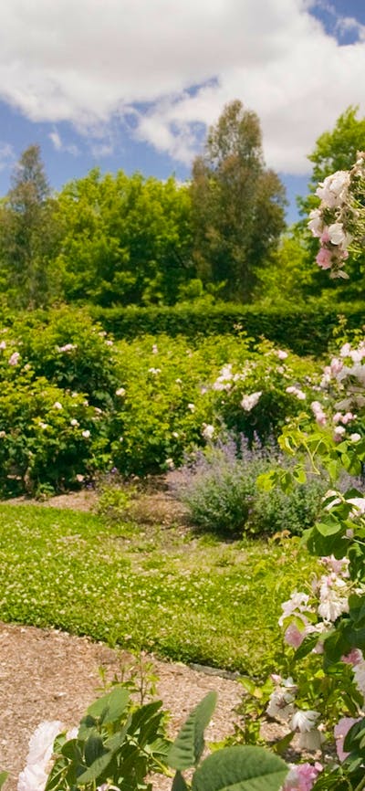 Rex Hazlewood Garden