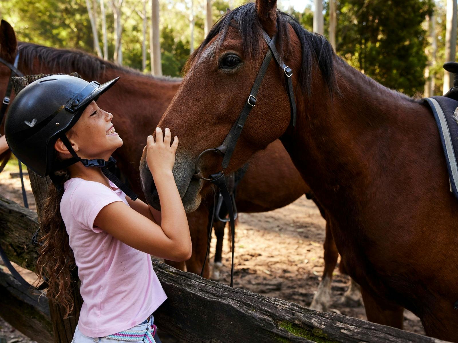Horse Riding