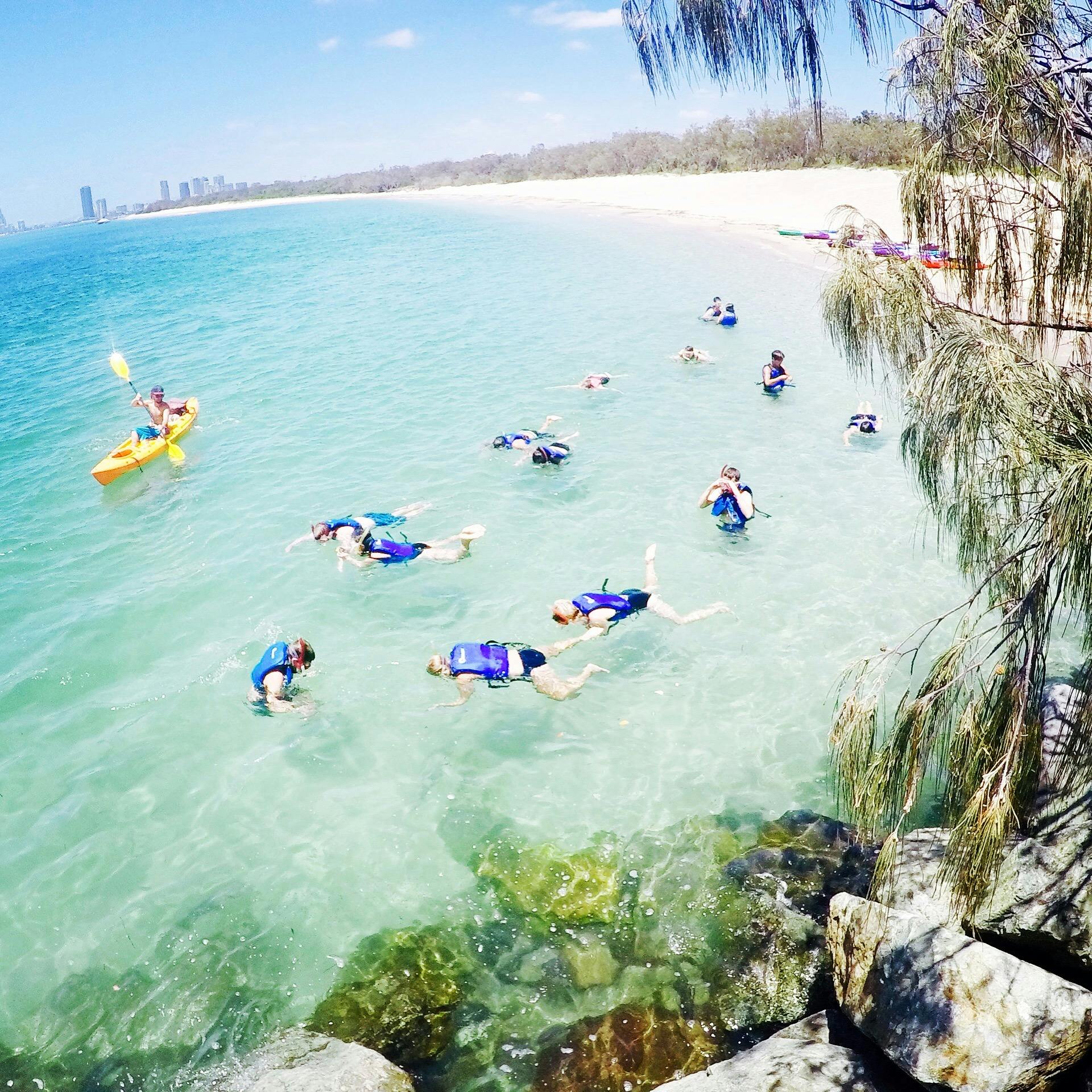Snorkeling on the Gold Coast