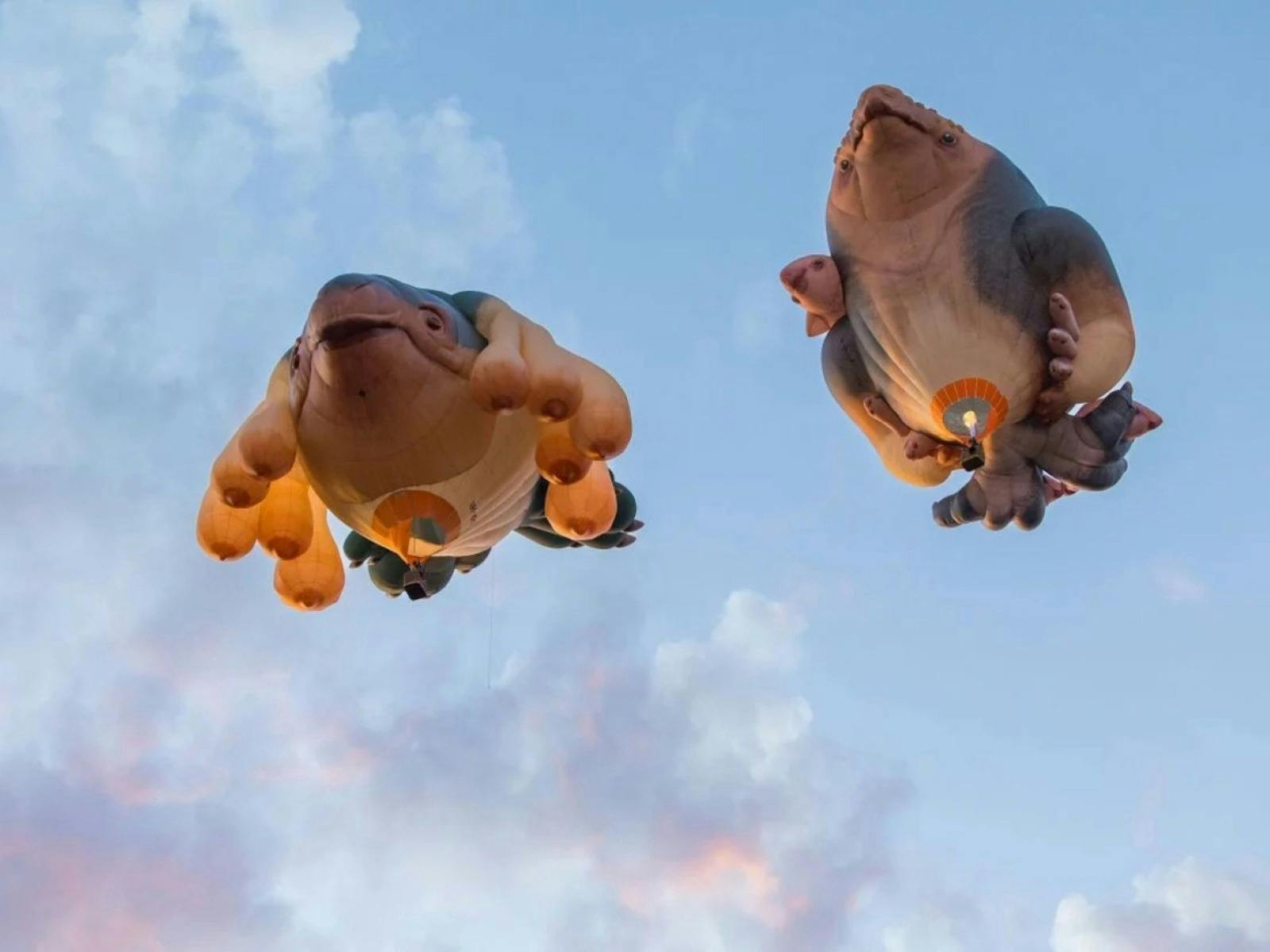Skywhales Across Australia