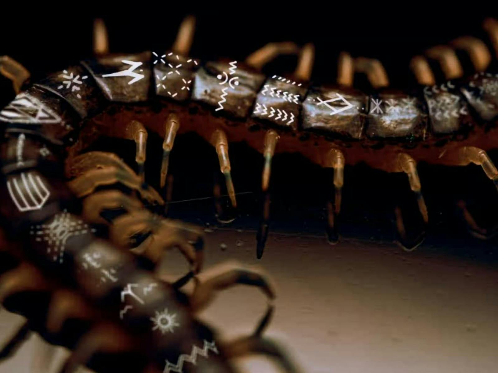 SAUNIGA