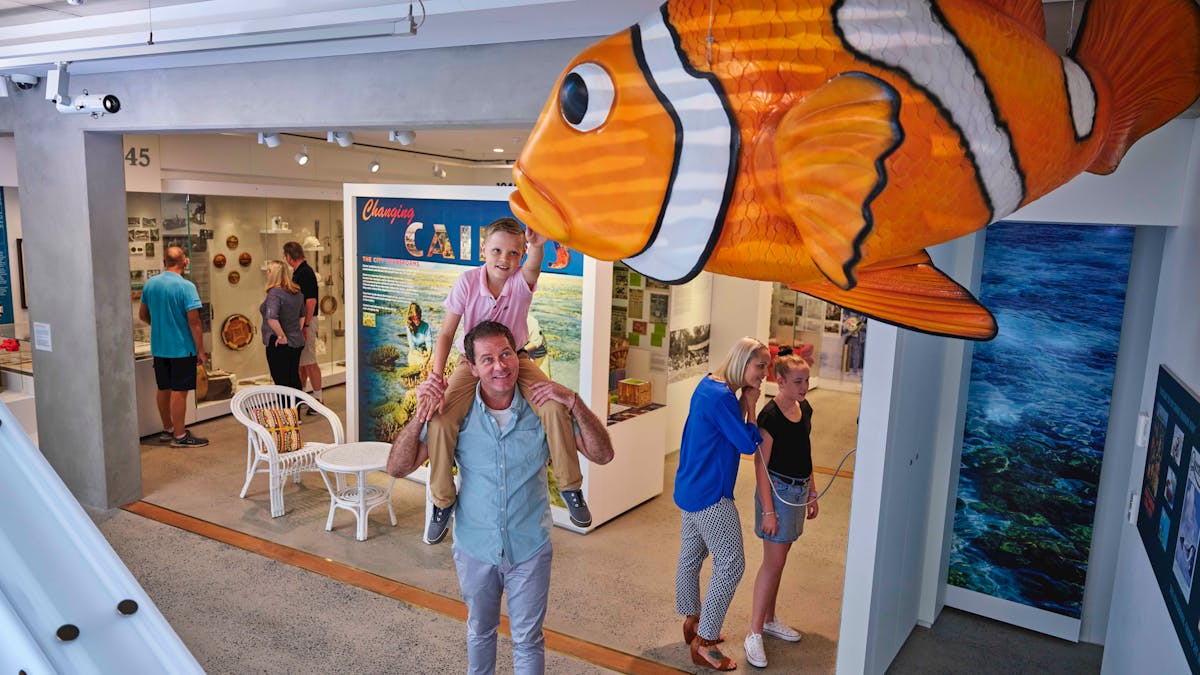 Cairns Museum 1st Floor - See our Giant Nemo Cairns Museum 1st Floor - See our Giant Nemo