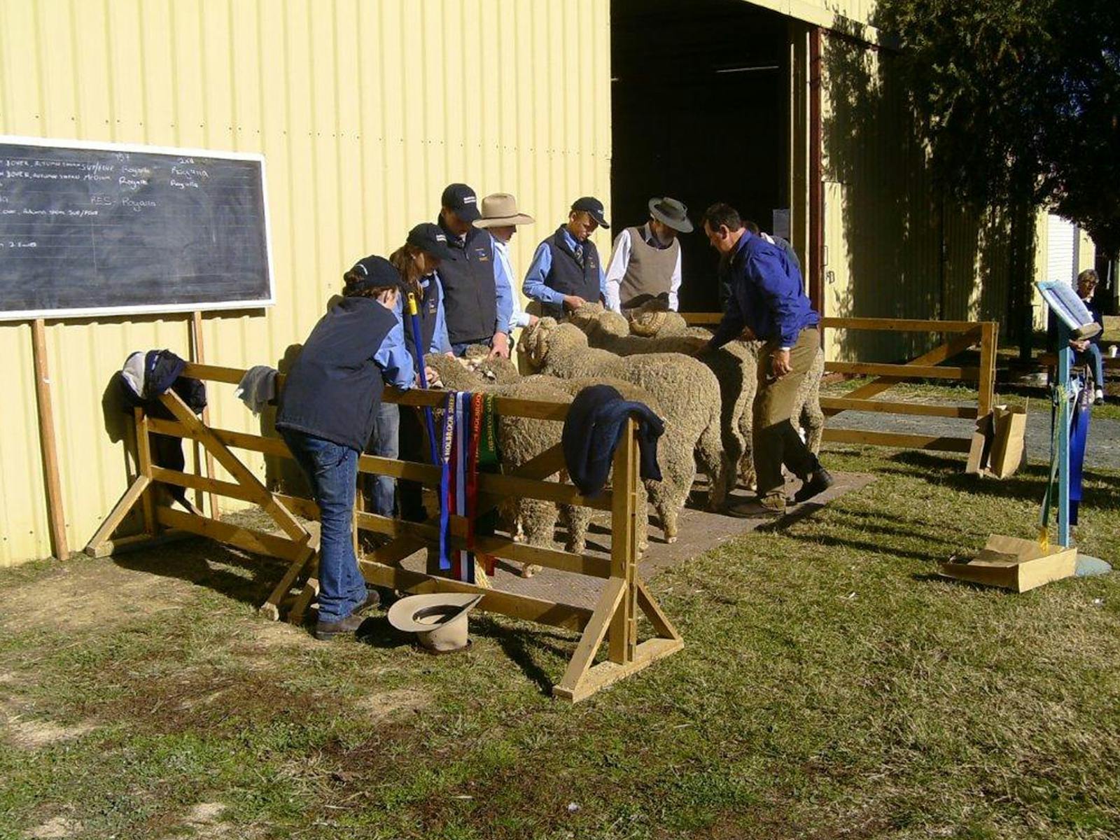 Image for Holbrook Sheep and Wool Fair