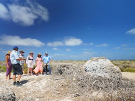 East Wallabi Island at the Abrolhos Islands. Pilot taking guests on a tour of the island.