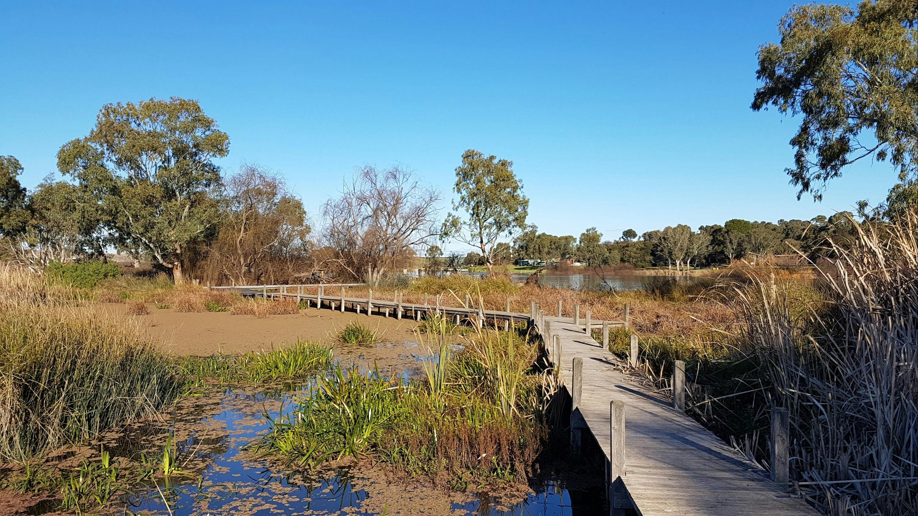 Swanport Wetlands