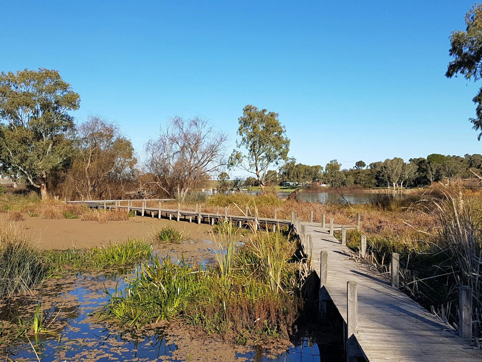 Swanport Wetlands