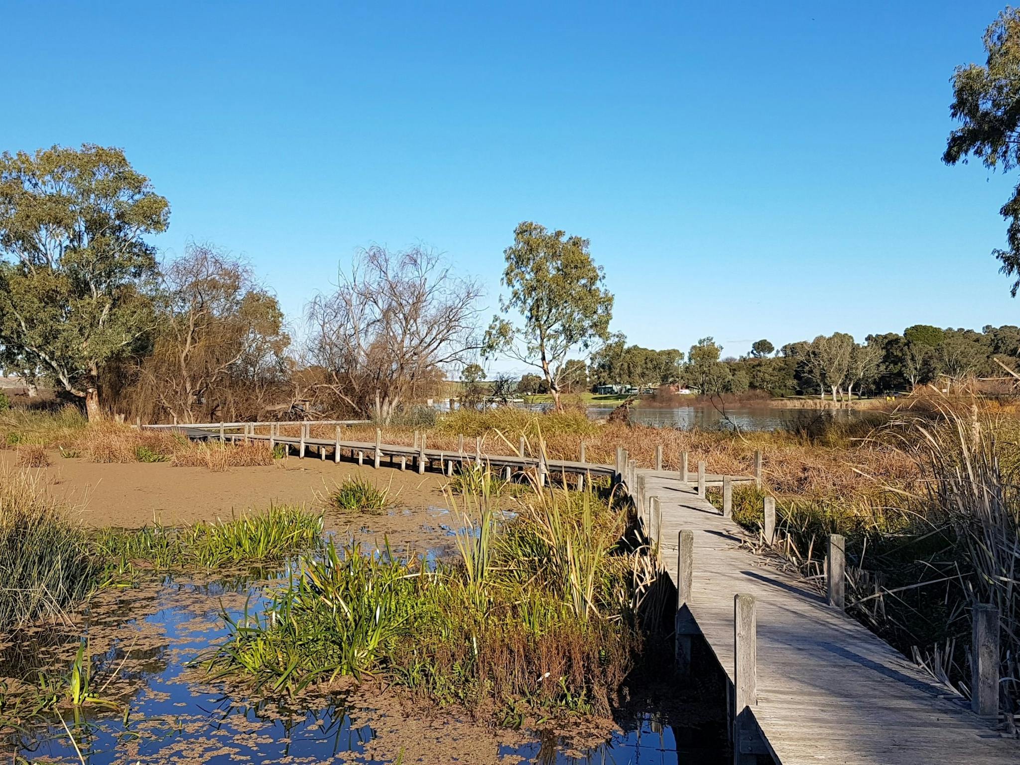 Swanport Wetlands