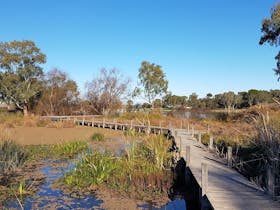 Swanport Wetlands