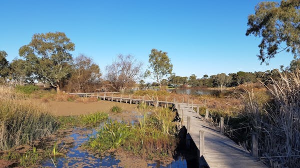 Swanport Wetlands