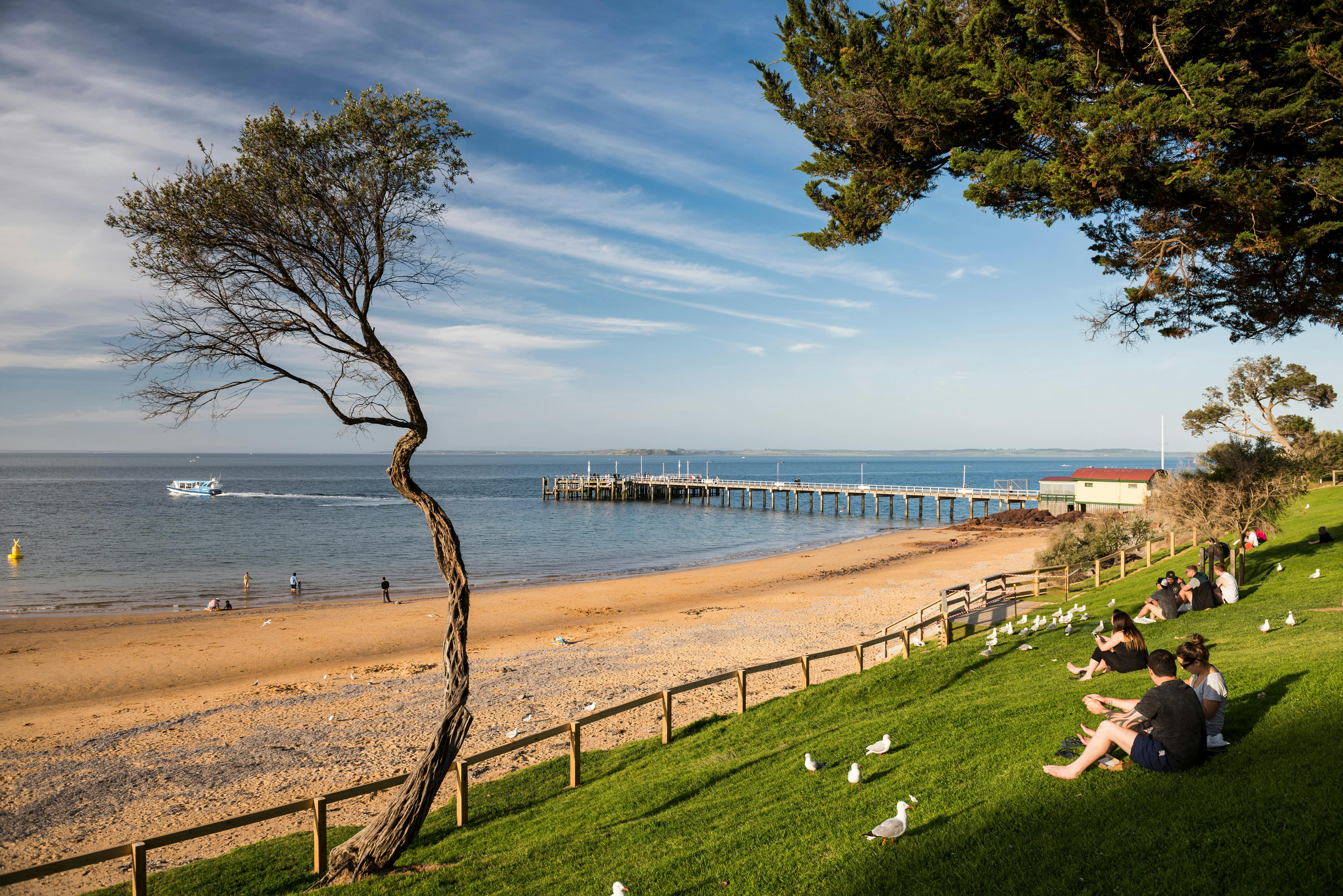 Phillip Island Tour